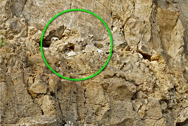 Посмотреть правильный ответ: