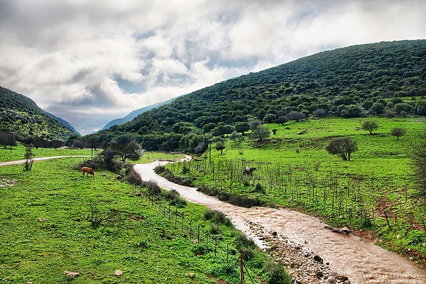 16. Загородная романтика Швейцарии?