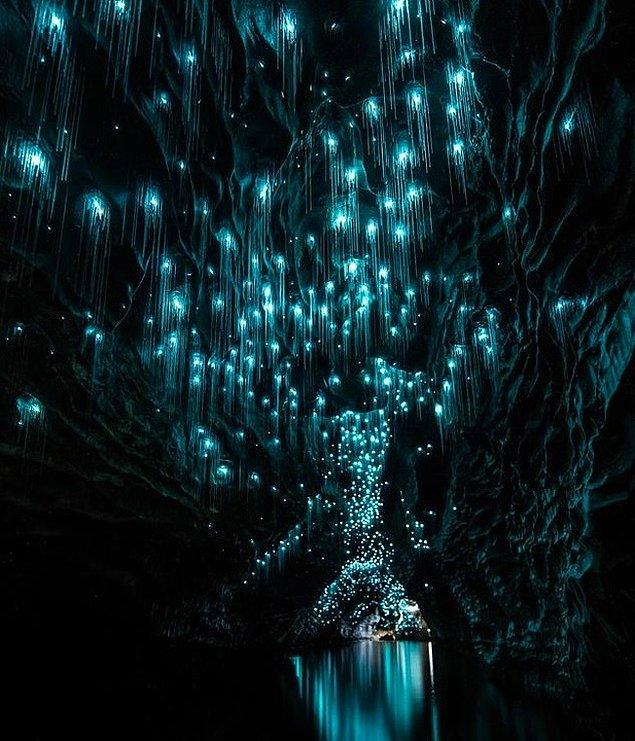 3. Yeni Zelanda'da bir mağarayı aydınlatan binlerce ateş böceği...