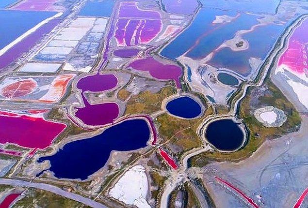 10. Çin'de bulunan Yuncheng Gölü içindeki deniz yosunları sıcak havadan ötürü çoğalınca rengarenk göletlere dönüştü.