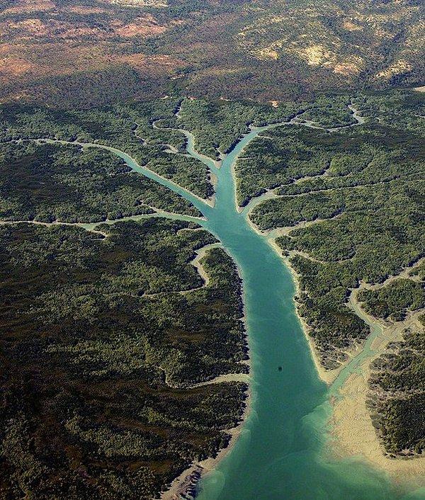 18. Avustralya'da ağaç şeklinde bir nehir.