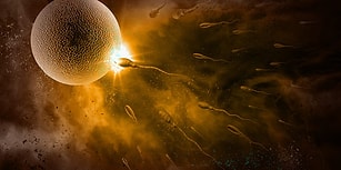 Sırada Ne Var? NASA, Uzaya Sperm Göndermeye Hazırlanıyor