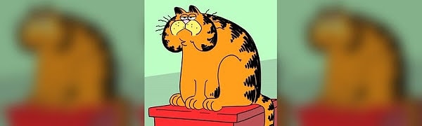 7. А этого харизматичного кота зовут...