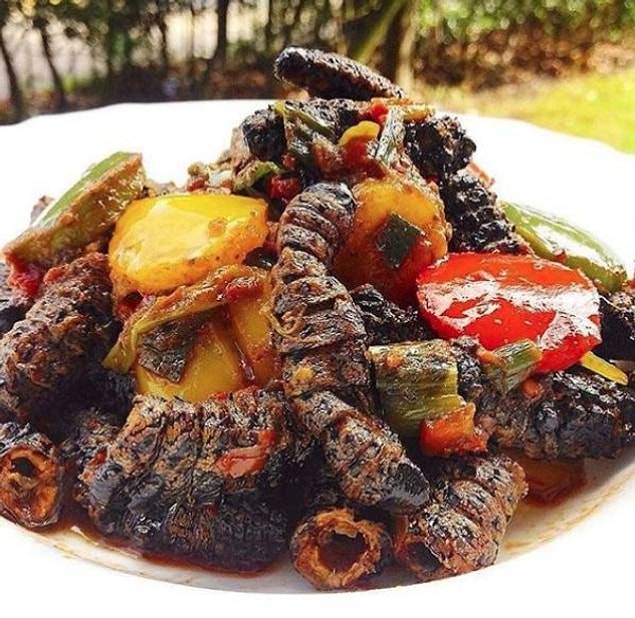 10. Mopane ya da Mopani Kurdu