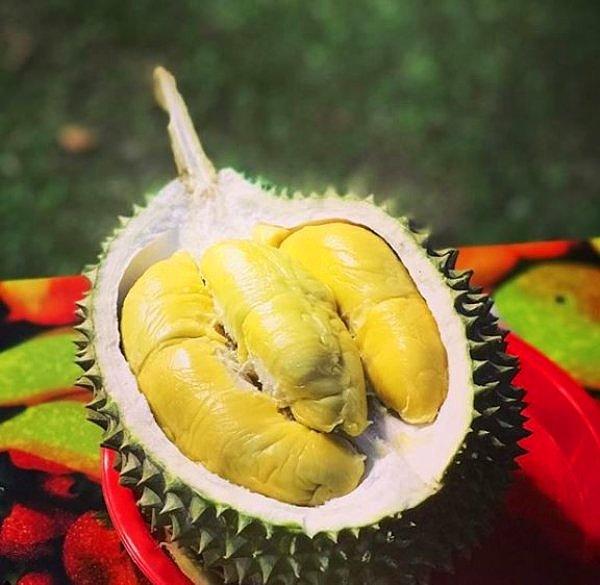 1. Durian