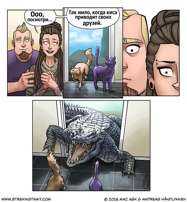 5. Ооо, это так мило... Погоди-ка!