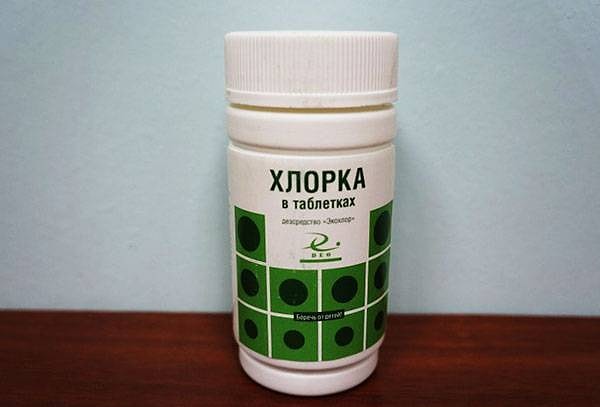 10. Стали ли бы вы брать с собой хлорку в бункер?