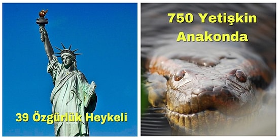 Okyanusların Ne Kadar Derin Olduklarına Hiç Bu Açılardan Bakmış mıydınız?