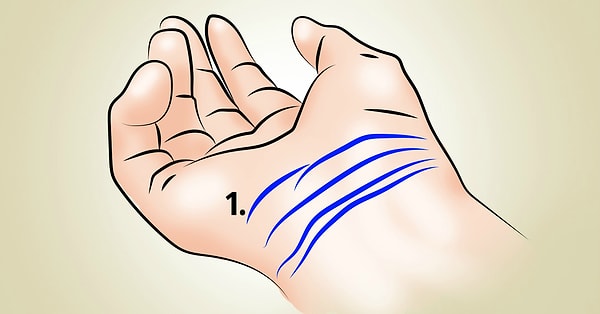 1. Первая линия