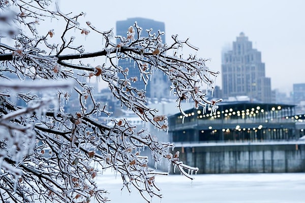 1. Январь - доброта