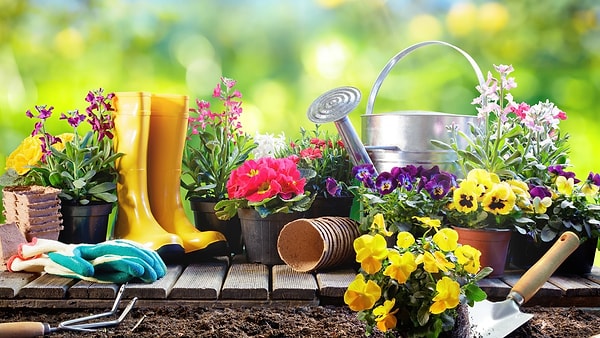 5. Май - чувство юмора