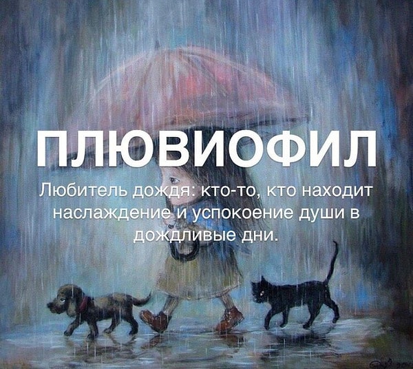 5. Теперь для вас есть чёткое определение 👍