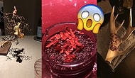Artık Tabak İstiyoruz! Yaratıcılıklarıyla Sunumlarında Çığır Açmış 30 İşletmeci