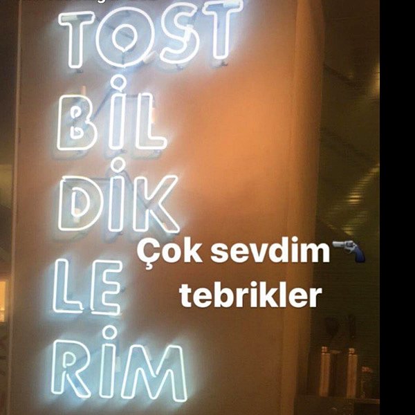 13. Tost bildiklerim tostumu yedi.