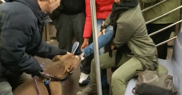 Metroda İnsan Dostuyla Tartışan Kadının Ayağını Isıran Köpek