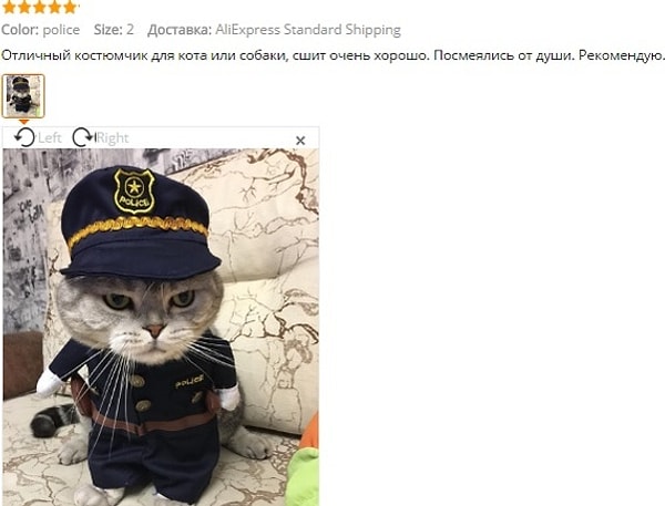 14. Просто клевый костюм для кота