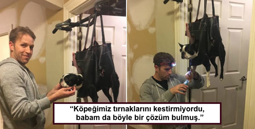 Yaratıcığıyla Her Derde Bir Deva Bulmuş Süper Zeki İnsanlardan 33 Güldüren Çözüm