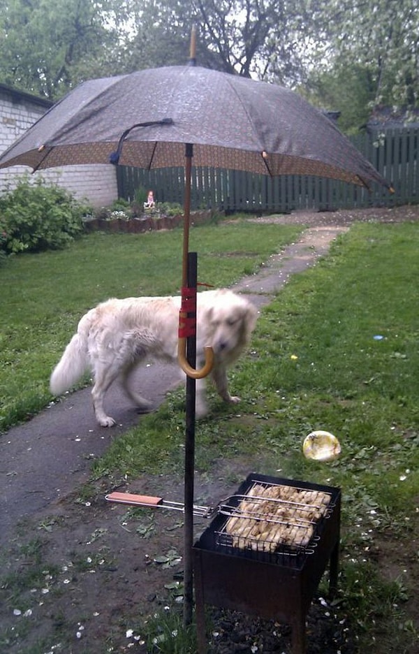 3. Ну и чтобы погода не подвела