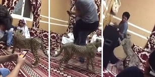 Çitayla Arkadaşa Yapılan Bir Garip Arap Şakası