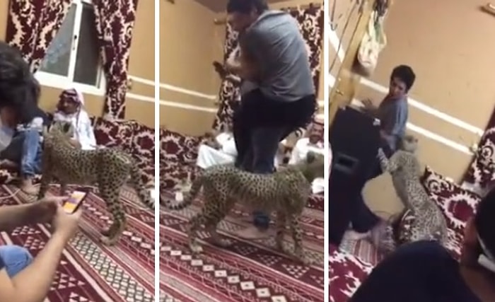 Çitayla Arkadaşa Yapılan Bir Garip Arap Şakası