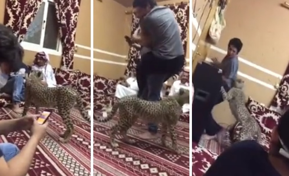 Çitayla Arkadaşa Yapılan Bir Garip Arap Şakası