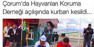 Nisan Ayında Onedio'da Yayınlanmış En Komik 17 İçerik