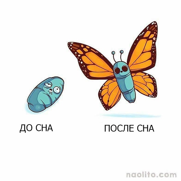 6. До сна и после