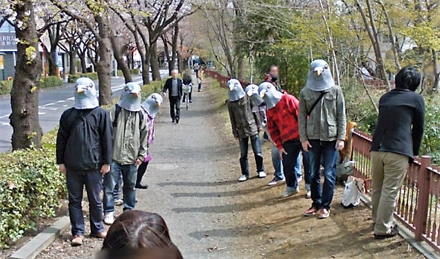 18. Japonya'da güvercinler nasıl oluyor merak ediyor musunuz?
