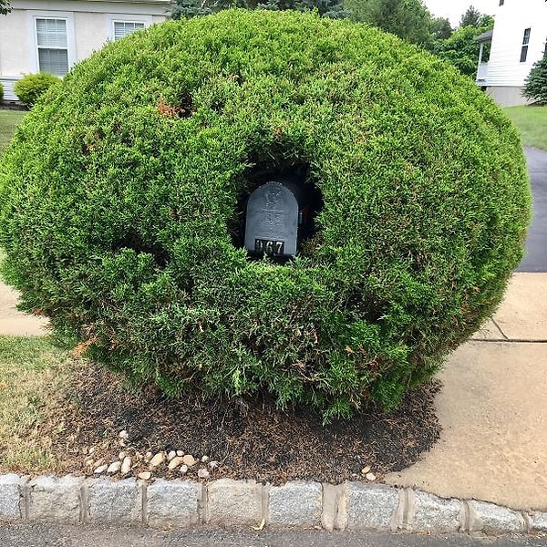 13. "Кто здесь?"