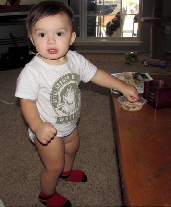 13. "Футболка сына моей подруги и ее собака на заднем плане идеально совпали в момент снимка"