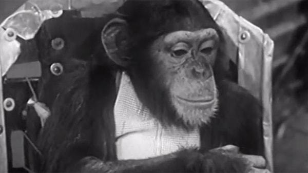 Fakat bu çaba da başarıyla sonuçlanmadı. Elindeki tüm şempanzeler ölünce deneylerini sonlandırmak zorunda kaldı.