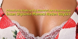 Bu 12 Sorunun Cevabını Öğrendiğinizde Beyninize Güncelleme Gelmiş Gibi Hissedeceksiniz!