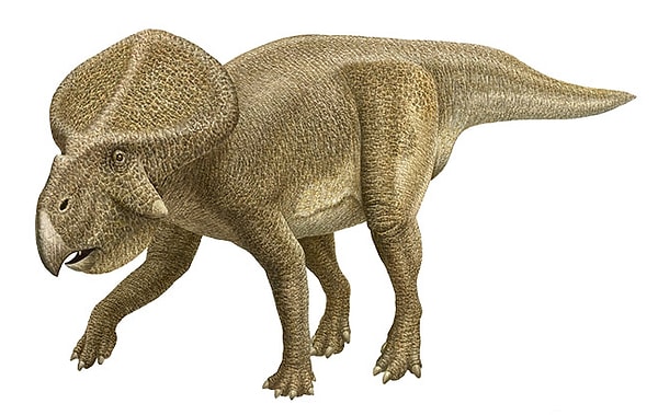 Показать правильный ответ