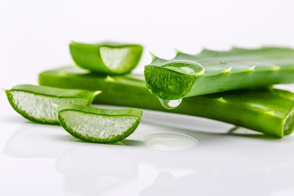 Cildinin Yaşam Kaynağı Aloe Vera Bitkisini Daha İyi Tanıyalım!
