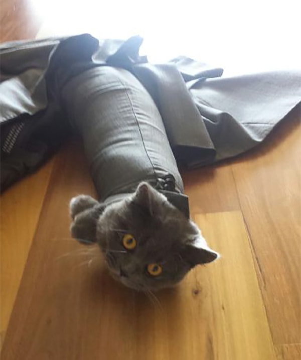 1. "Оставил костюм на полу. Проснулся и увидел это"