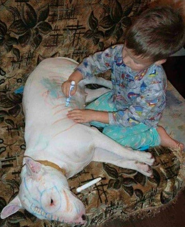 10. Ailenin sabır taşı gibi köpeğiyle kaliteli vakit geçirdiğini iddia eden bu ufaklık: