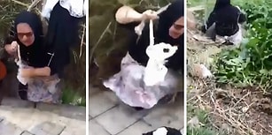 Sırtındaki Ağırlık Yüzünden Yuvarlanan Teyze ve Bu Durumdan Çok Eğlenen Arkadaşı