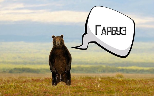 7. Краснодарский край: