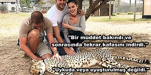 Sosyal Medyayı Bir Süredir Meşgul Eden Hayvan Eziyeti Tartışmasına Fahriye Evcen'den Cevap Geldi!