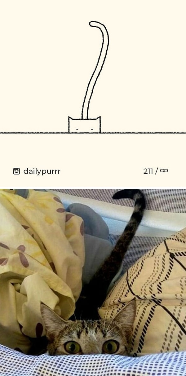 4. "Кто здесь?".