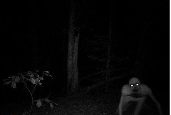 2. Berwick Louisiana'da Geyik Kamerasına yansıyan yaratık "Eerie Canavarı"