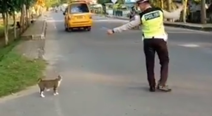 Kediyi Karşıya Geçirmek İçin Trafiği Durduran Trafik Polisi