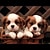 selin.anli