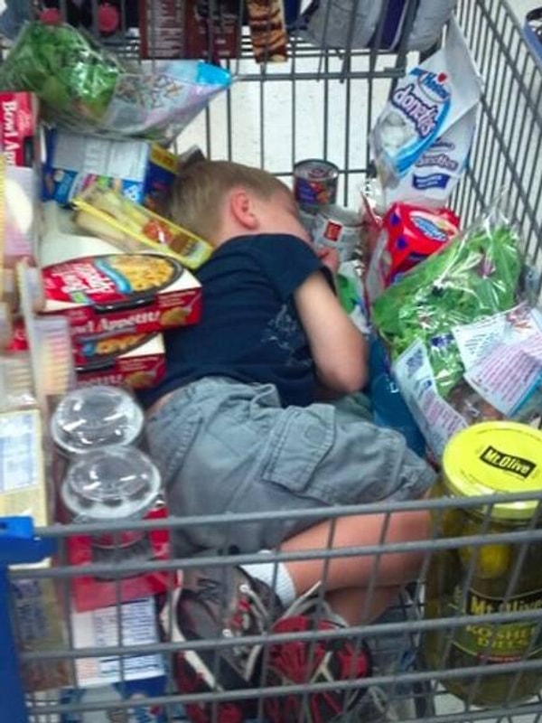 6. Они могут заснуть в абсолютно любом месте