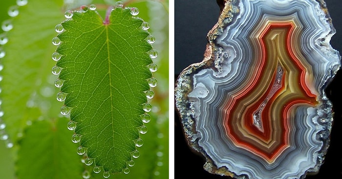 20 потрясающих фотографий, над созданием которых поработала сама природа