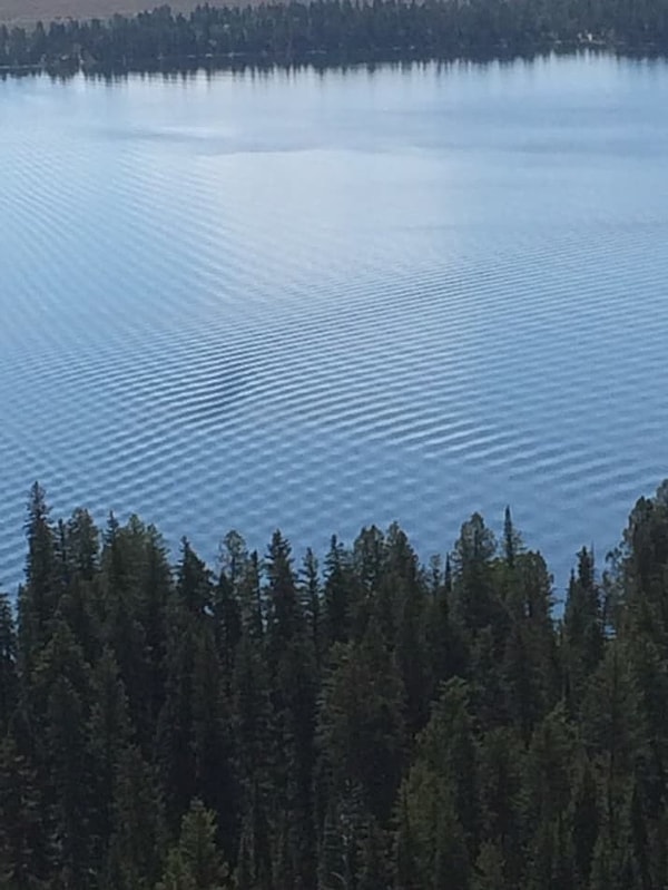 19. Эта рябь оказывает гипнотическое действие