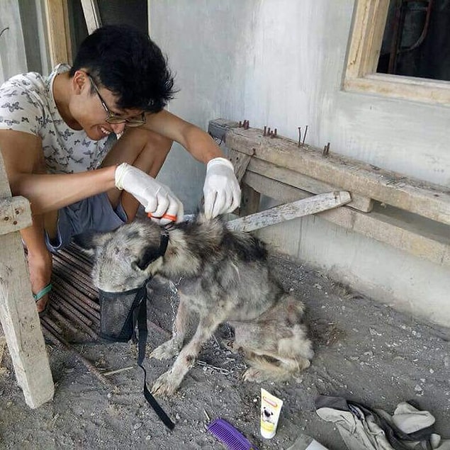 "Bu kalp ve duygu işiydi."