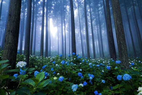 5. Какой снимок ассоциируется у вас с одиночеством?