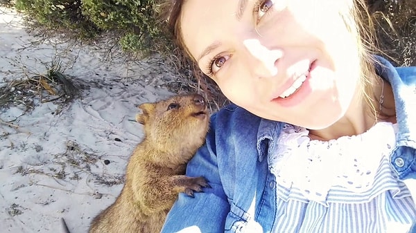 6. Какого из этих зверьков вы бы хотели затискать прямо сейчас?