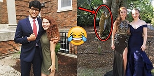Dünyanın Öbür Ucunda Yaşayan Sevgilisi Baloya Katılamayınca Tembel Hayvan Kostümüyle Milletin Fotoğraflarını Trolleyen Kadın